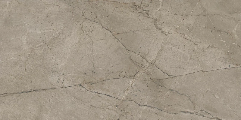 Керамогранит Atlas Concorde 610015000658 Forte dei Marmi Mystic Grey Rett Cer 60x120 - фото 2