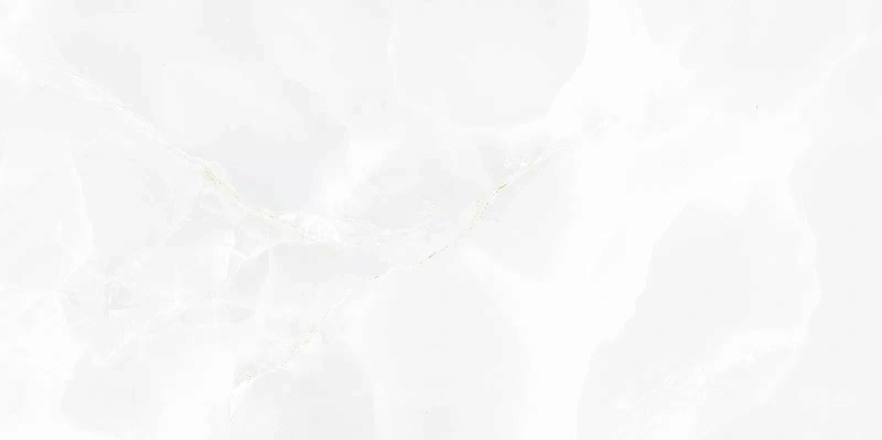 Керамическая плитка Alma Ceramica Bergamo TWU09BGM007 24.9x50 - фото 3