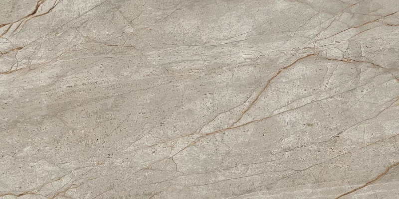 Керамогранит Atlas Concorde Empire Silver Root 60x120 матовый - фото 3