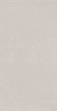 mon garden silver garden 30x60 nb_0429