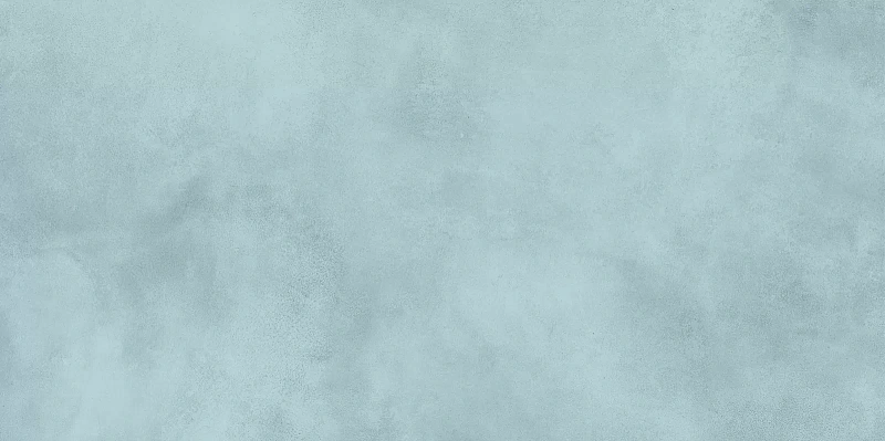 Керамическая плитка Alma Ceramica Richard TWU09RCD606 24.9x50 - фото 2