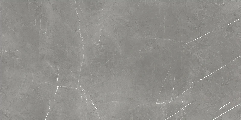 Керамогранит Atlas Concorde 610015000657 Forte dei Marmi Elegant Grey Rett Cer 60x120 - фото 1