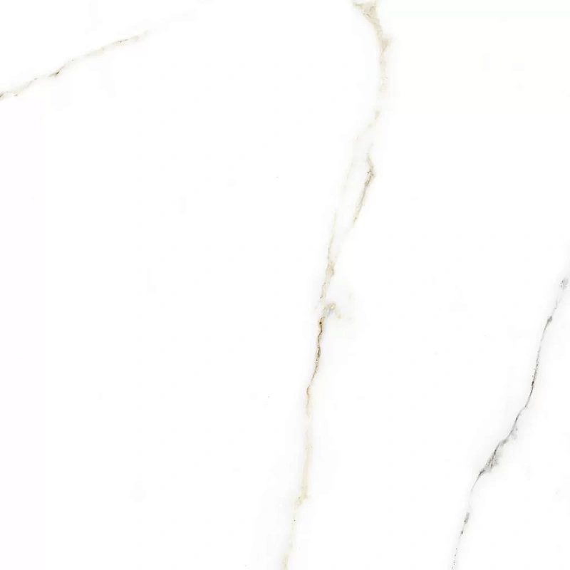 Керамогранит Alma Ceramica Extra Calacatta GFA57ECL04R 57x57 - фото 19
