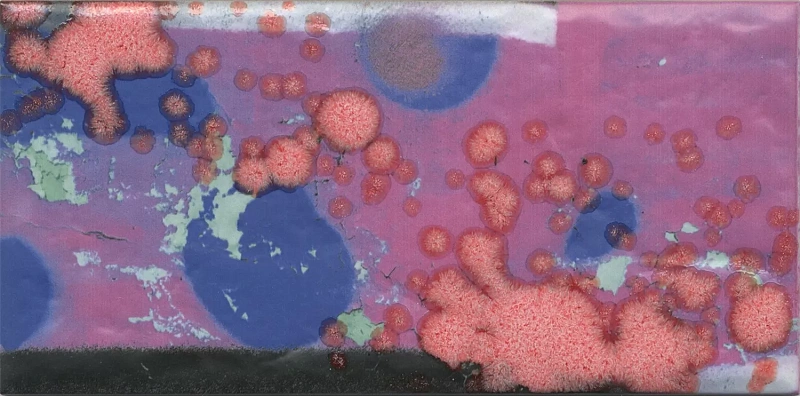 Декор Kerama Marazzi OS\A57\9x\19060 Панно Граффити 20x89,1 - фото 10