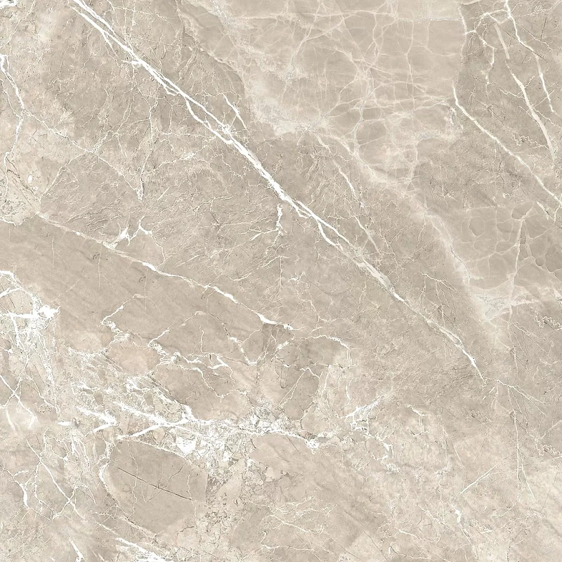 Керамогранит Alma Ceramica Imperiale Marble GFU04IMP04R 60x60 - фото 6