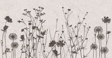 Декор Flamel 31x61 декор flamel 31x61 sgw59d13100a