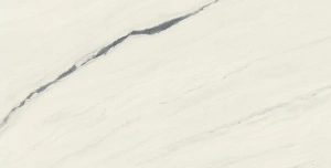 Керамогранит Atlas Concorde 610010002709 Forte dei Marmi Panda White Rett 80x160 - фото 3
