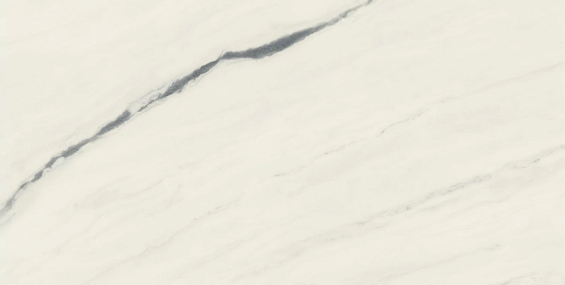Керамогранит Atlas Concorde 610010002709 Forte dei Marmi Panda White Rett 80x160 - фото 3