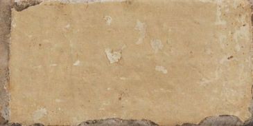 tropicana 20x40 1053377