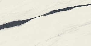 Керамогранит Atlas Concorde 610010002709 Forte dei Marmi Panda White Rett 80x160 - фото 4