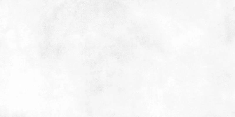 Керамическая плитка Alma Ceramica Richard TWU09RCD000 24.9x50 - фото 1