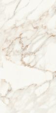 Calacatta Polished 60x120