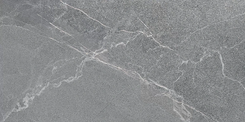 Керамогранит Lasselsberger Диккенс 6260-0225 серый 30x60 - фото 1