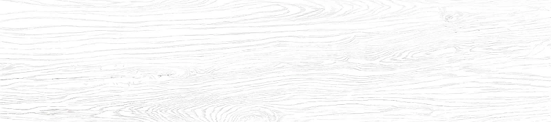 Керамогранит Alma Ceramica Westwood GFA92WTD00R 20x90 - фото 2