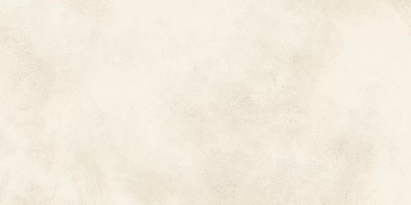 Керамическая плитка Alma Ceramica Richard TWU09RCD004 24.9x50 - фото 4