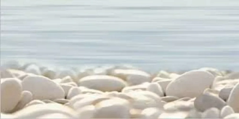 Декор Alma Ceramica Del Mare DWU09DLM604 24.9x50 - фото 1