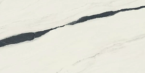 Керамогранит Atlas Concorde 610015000664 Forte dei Marmi Panda White Lapp 80x160 - фото 4