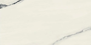 Керамогранит Atlas Concorde 610015000656 Forte dei Marmi Panda White Rett Cer 60x120 - фото 4
