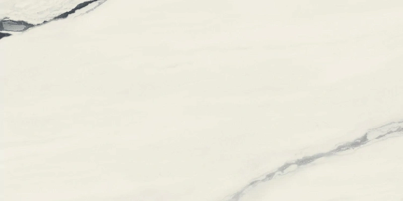 Керамогранит Atlas Concorde 610015000656 Forte dei Marmi Panda White Rett Cer 60x120 - фото 4