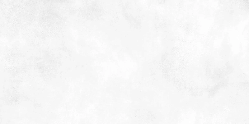 Керамическая плитка Alma Ceramica Richard TWU09RCD000 24.9x50 - фото 5