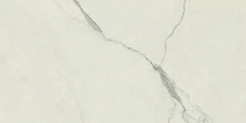 Керамогранит Atlas Concorde Empire Statuario 60x120 матовый - фото 3