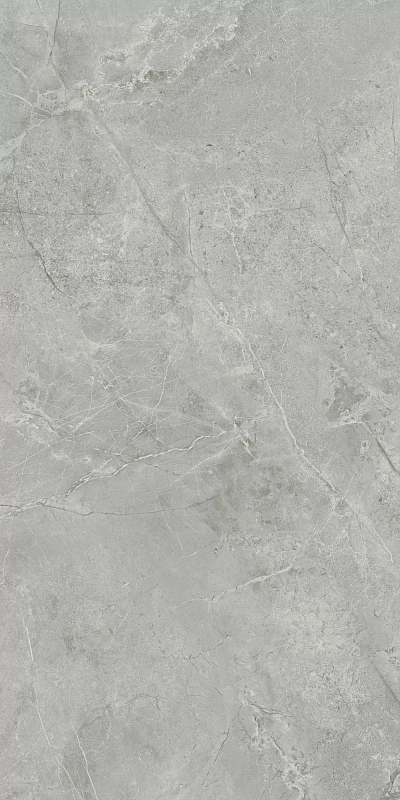 Керамическая плитка Kerama Marazzi Venezia Риальто дымчатый глянцевый обрезной 40х80 - фото 3