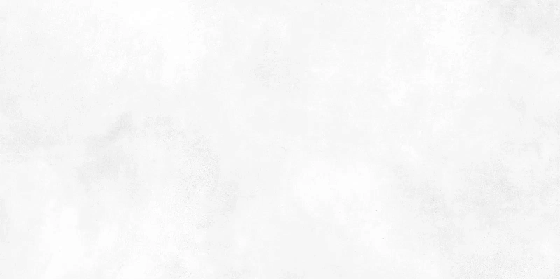 Керамическая плитка Alma Ceramica Richard TWU09RCD000 24.9x50 - фото 2