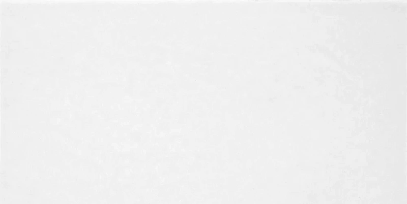 Керамическая плитка Alma Ceramica Salvia TWU09MNR020 24.9x50 - фото 1