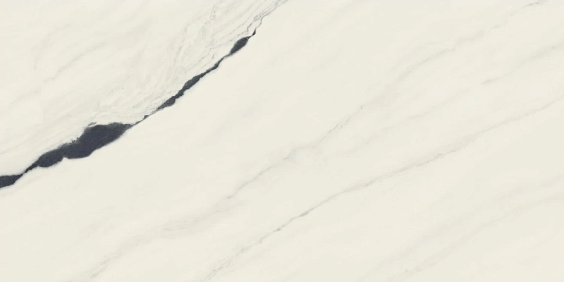 Керамогранит Atlas Concorde 610015000656 Forte dei Marmi Panda White Rett Cer 60x120 - фото 2