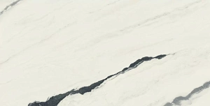 Керамогранит Atlas Concorde 610015000664 Forte dei Marmi Panda White Lapp 80x160 - фото 2