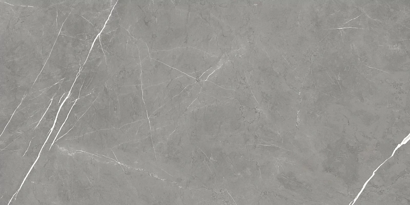 Керамогранит Atlas Concorde 610015000657 Forte dei Marmi Elegant Grey Rett Cer 60x120 - фото 4