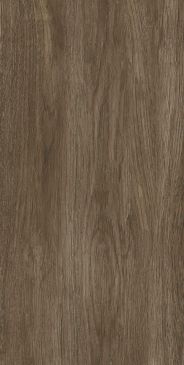 mountain bistre 25x50 00-00-5-10-01-15-2836