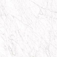 Carrara white