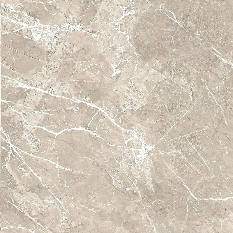 Керамогранит Alma Ceramica Imperiale Marble GFU04IMP04R 60x60 - фото 5