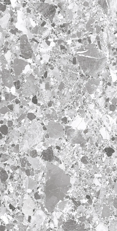 Керамогранит Креанза SL1004-A Terragona Silver Solido 60x120 серый - фото 1