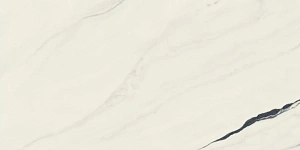 Керамогранит Atlas Concorde 610015000656 Forte dei Marmi Panda White Rett Cer 60x120 - фото 3