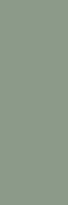 Ekzotic Olive 30x90