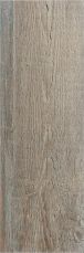 Pino Beige 16.5x49.5