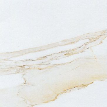 calacata gold 59.6x59.6 p1856800