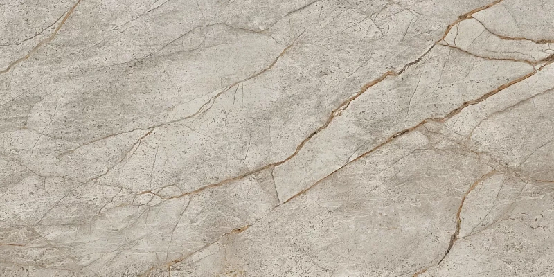 Керамогранит Atlas Concorde Empire Silver Root 60x120 матовый - фото 2