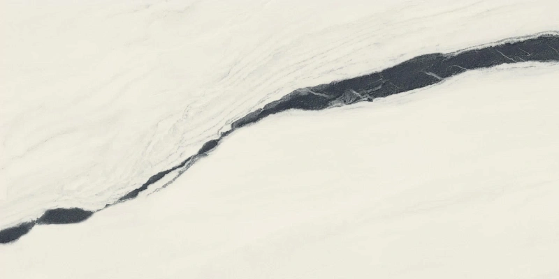 Керамогранит Atlas Concorde 610015000656 Forte dei Marmi Panda White Rett Cer 60x120 - фото 5