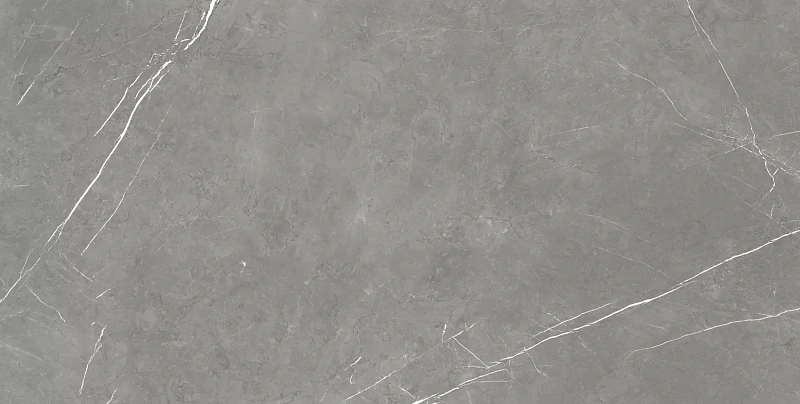 Керамогранит Atlas Concorde 610015000665 Forte dei Marmi Elegant Grey Lapp 80x160 - фото 3