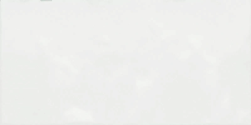 Керамическая плитка Alma Ceramica Brenta TWU09MNR030 24.9x50 - фото 1