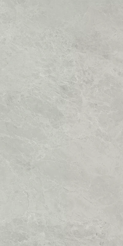 Керамическая плитка Kerama Marazzi Venezia Риальто серый светлый глянцевый обрезной 40х80 - фото 5