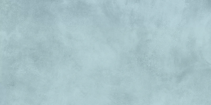 Керамическая плитка Alma Ceramica Richard TWU09RCD606 24.9x50 - фото 5