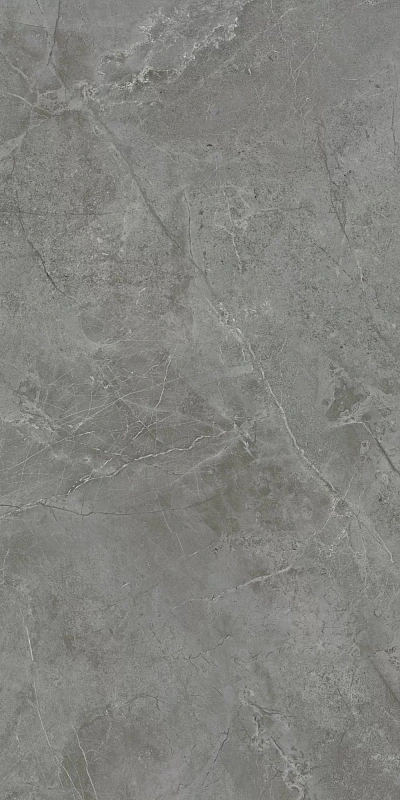 Керамическая плитка Kerama Marazzi Venezia Риальто серый тёмный глянцевый обрезной 40х80 - фото 3