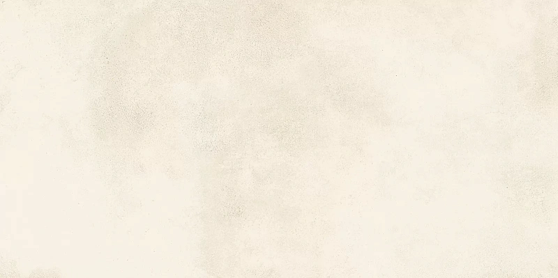 Керамическая плитка Alma Ceramica Richard TWU09RCD004 24.9x50 - фото 2