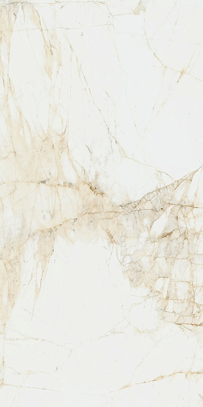 Керамогранит ColiseumGres Канова Уайт 610010005765 белый 60x120 - фото 1