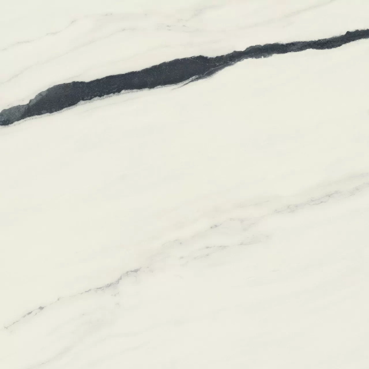 Керамогранит Atlas Concorde 600010002406 Forte dei Marmi Panda White Matt Rett 120x120 - фото 1