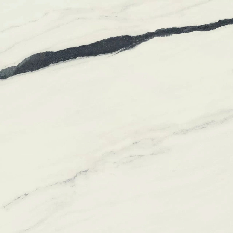 Керамогранит Atlas Concorde 600010002406 Forte dei Marmi Panda White Matt Rett 120x120 - фото 1